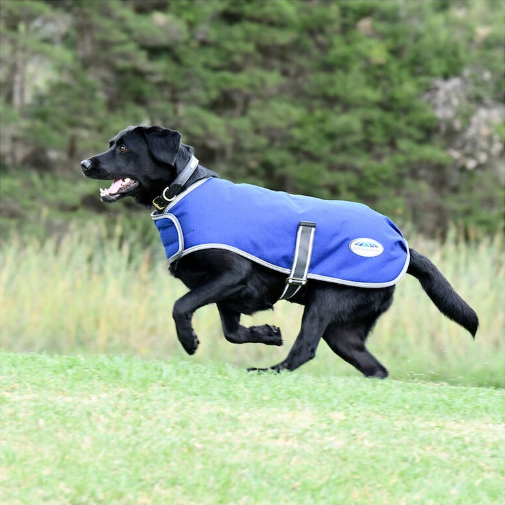 Weatherbeeta Comfitec Premier Free Parka Dog Coat - Dark Blue